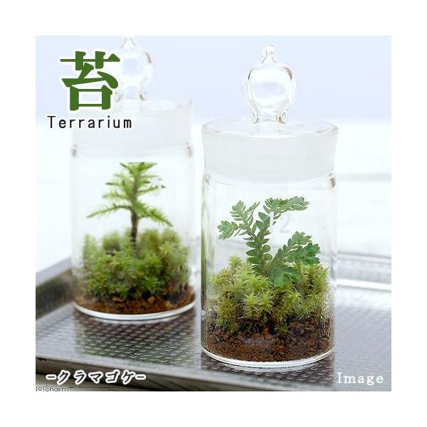 iϗtAjۃeE@N}SP@KX{g~j@t@RPeE@ۃe@RPe@ہ@CeA