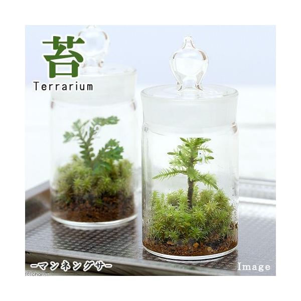 iϗtAjۃeE@REm}lOT@KX{g~j@t@RPeE@ۃe@RPe@ہ@CeA