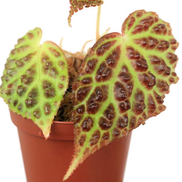 ieEjxSjA@hRy^iP|bgjxSjA@kCEBq֗vۉ