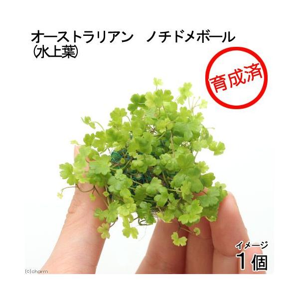 ij琬ρ@I[XgA@m`h{[itji_jiPj