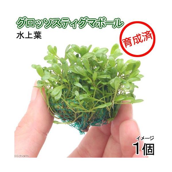 ij琬ρ@Ob\XeBO}{[itji_jiPj