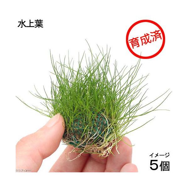 ij琬ρ@wA[OXV[g{[itji_jiTj