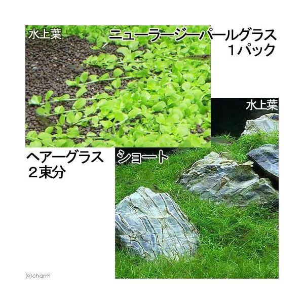 ijOi@titji_jQZbg@j[[Wp[iPpbNj{wA[OX@V[giQj