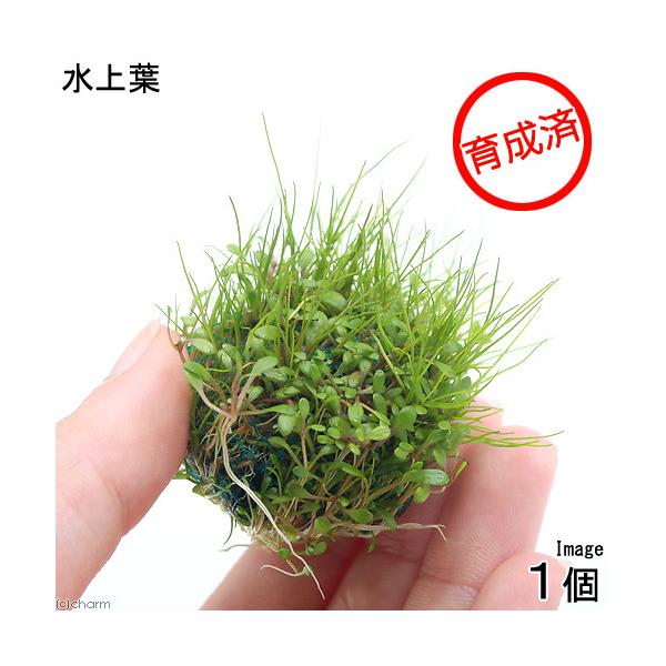 ij琬ρ@~bNX{[iwAV[{Ob\XeBO}jitjiPj