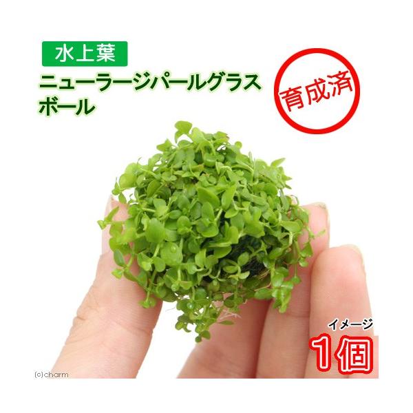 ij琬ρ@j[[Wp[OX@{[itji_jiPj