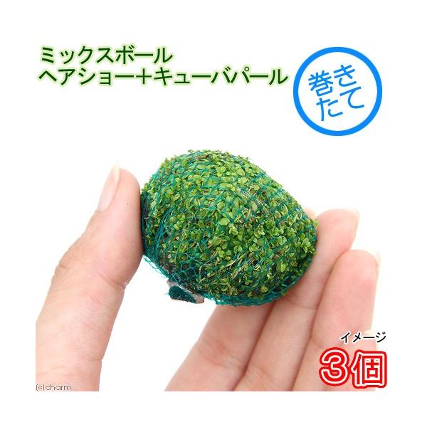 ijā@~bNX{[iwAV[{L[op[jitjiRj