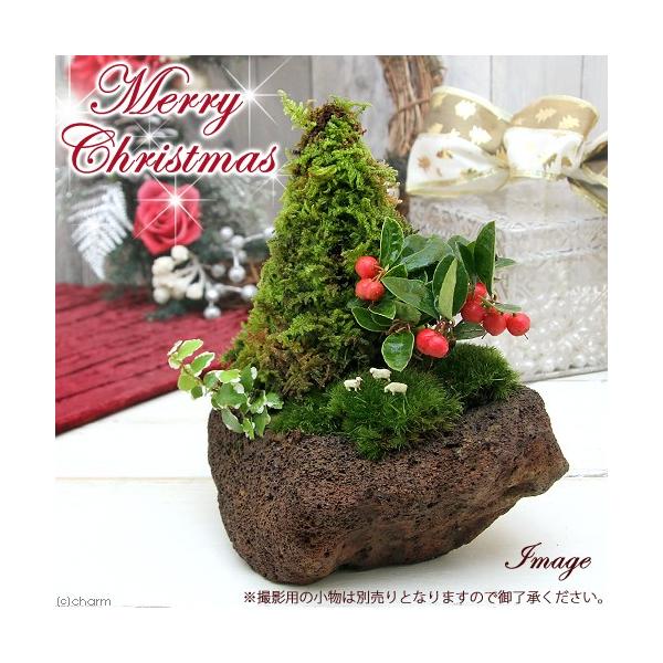 iR쑐jۖ~́@NX}Xc[@nΔAiPj@~G̔ixԁj