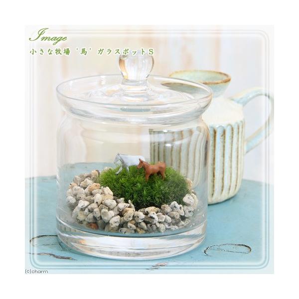 iϗtAjۃeE@Ȗq@n@KX|bgr@t@RPeE@ۃe@RPe@ہ@CeA