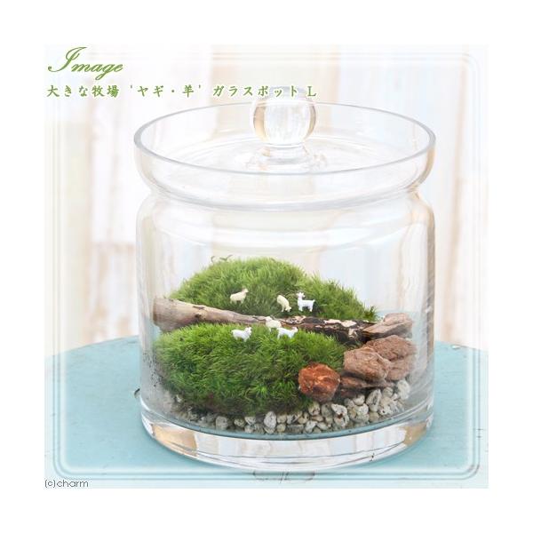 iϗtAjۃeE@傫Ȗq@MEr@KX|bgk@t@RPeE@ۃe@RPe@ہ@CeA