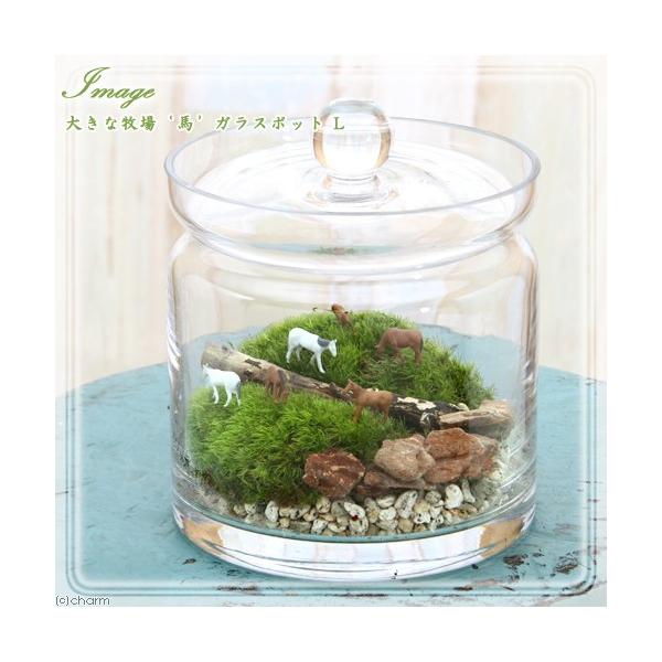 iϗtAjۃeE@傫Ȗq@n@KX|bgk@t@RPeE@ۃe@RPe@ہ@CeA