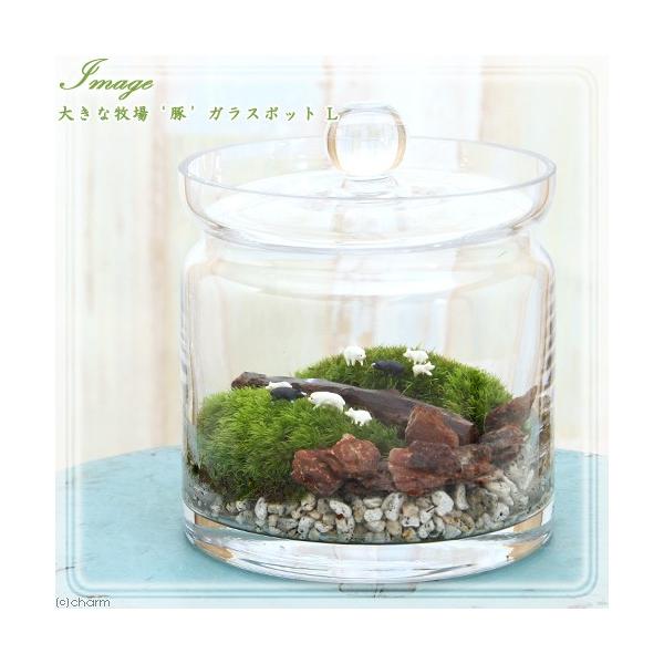 iϗtAjۃeE@傫Ȗq@؁@KX|bgk@t@RPeE@ۃe@RPe@ہ@CeA