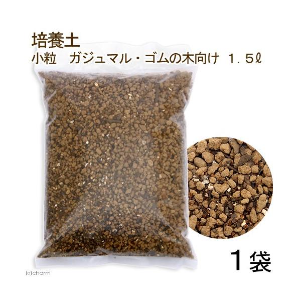 |{y@KW}ES̖،@PDTkiP܁j