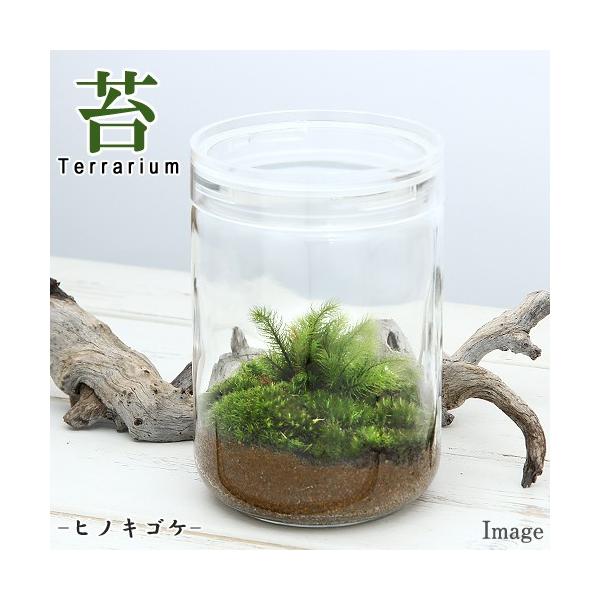 ガラス 盆栽の人気商品・通販・価格比較 - 価格.com ガラス 盆栽の人気商品・通販・価格比較 - 価格.com