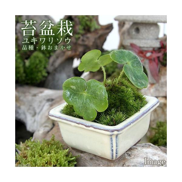 iR쑐jۖ~́@L\E@iE܂FiPj