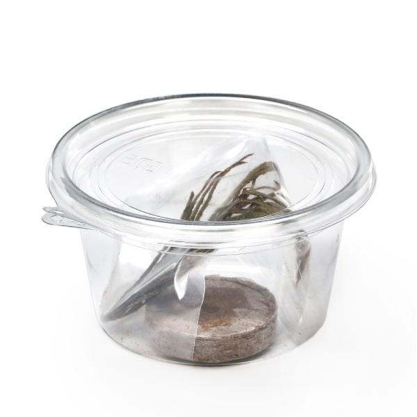 ieEjEq琬Zbg@uNi@IucT^@DIucT^iPZbgj