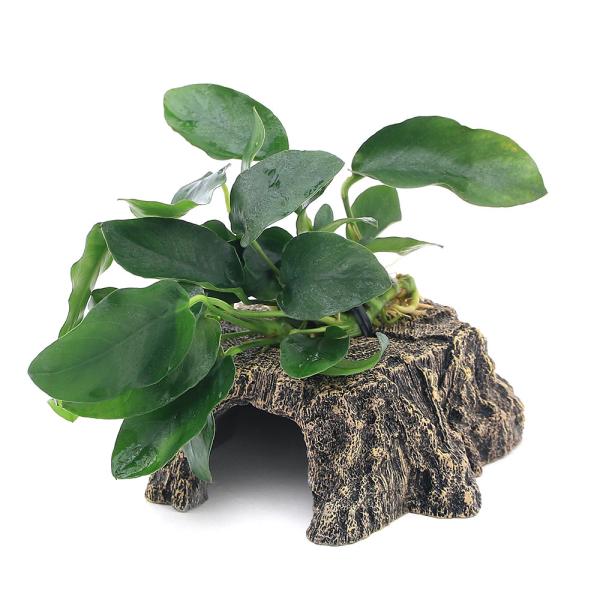 水草　熱帯魚　活着　水草付　置くだけ　オブジェクト　アクセサリー　アクア　隠れ家　シェルター　日淡　日本淡水魚　日淡隠れ家　魚隠れ家　日淡シェルター　淡水魚　淡水魚隠れ家　淡水魚シェルター　イモリ　イモリウム　イモリシェルター　両生類　樹皮...