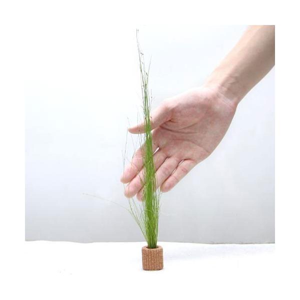 ijCt}`ijGIJX@rrpitji_jiPj