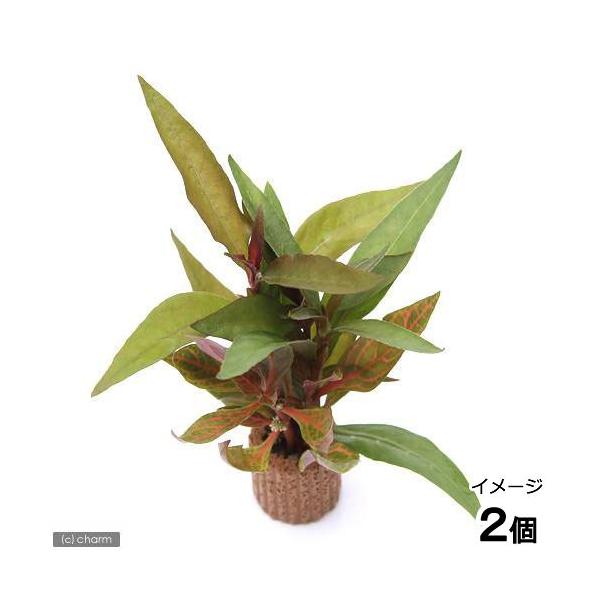 ijCt}`ijAeie~bNXitji_jiQj