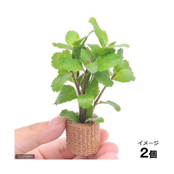 ijCt}`ijEH[^[EBXeAitji_jiQj