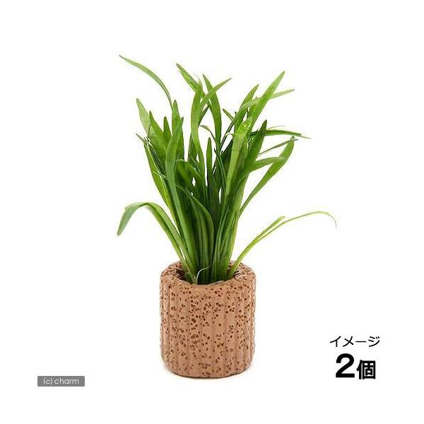 ijCt}`ijRuOXitji_jiQj