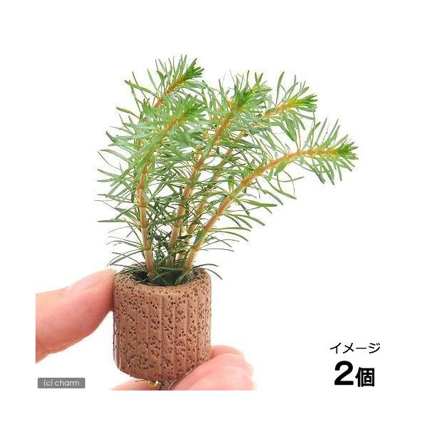 ijCt}`ij^DJ{WAYitji_jiQj