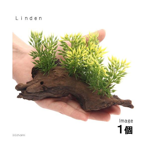 アーティフィシャルプランツ（人工水草）流木付　Ｌｉｎｄｅｎ（１個）