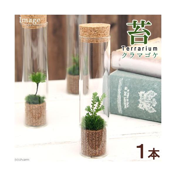 iϗtAjۃeE@N}SP@XKXiPj@t@RPeE@ۃe@RPe@ہ@CeA