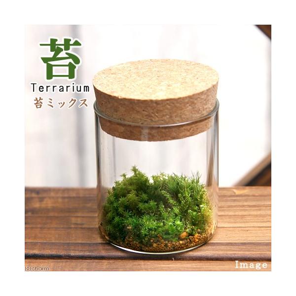 iϗtAjۂs@ۂRZbg@RN{g@~j@t@RPeE@ۃe@RPe@ہ@CeA