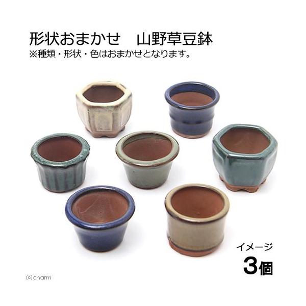 ~͔@`󂨔C@R쑐@R쑐@Aؔ@~j~j~͔iRj