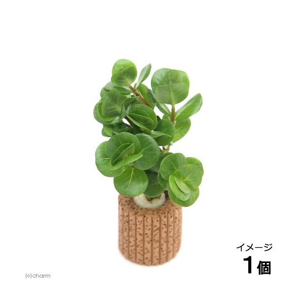 ijCt}`ij^@gfBtHA@sNitji_jiPj