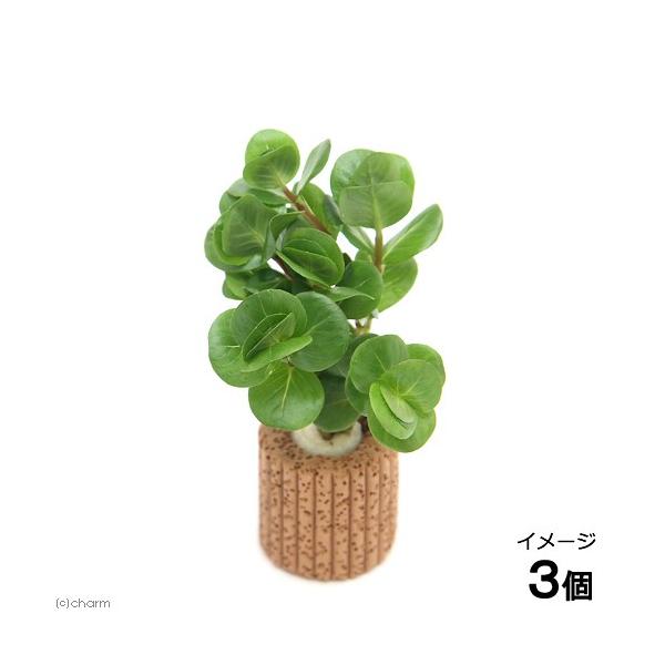 ijCt}`ij^@gfBtHA@sNitji_jiRj