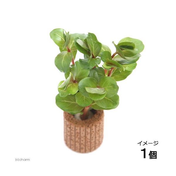 ijCt}`ij^@gfBtHA@nCbhitjiPji_j