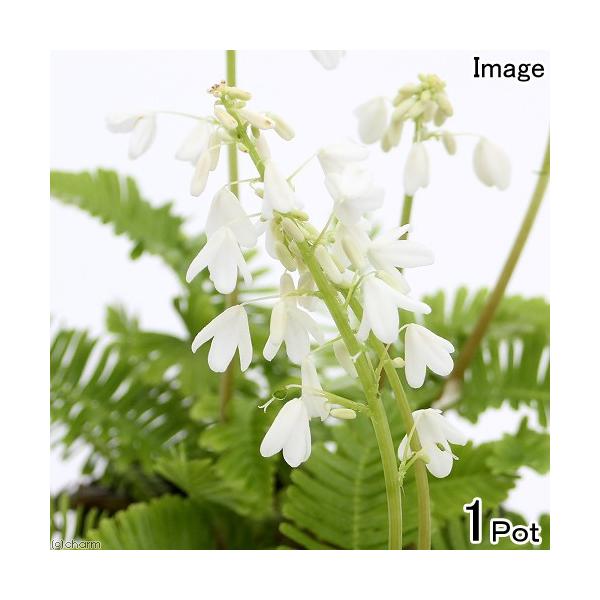 iR쑐jIToOTi⫗tj@RDTiP|bgjixԁj