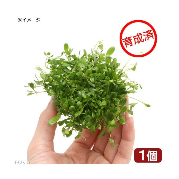 ij琬ρ@~bNX{[iOb\{I[XgAm`hjitjiPj