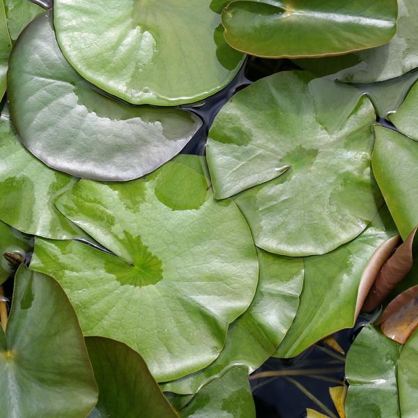 irIg[vj@@ѐ@iXCjijRbZAiP|bgjixԁj