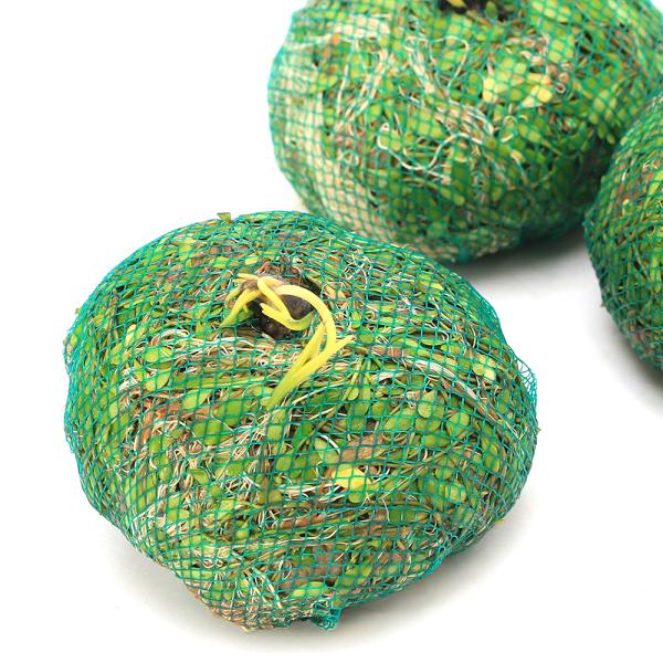 金魚　メダカ　熱帯魚　水草　all_plants　アクアリウム　テラリウム　オープンアクア　ボトル　グラス　小型水槽　巻きたて　置くだけ　隠れ家　産卵床　簡単　浮かべる　20240404　2024zenki　YH　y24m04　pus250...