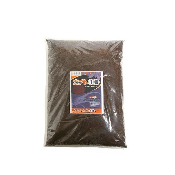 }bg@JugPԁ@JugV@c̃GT@Tk@JugV