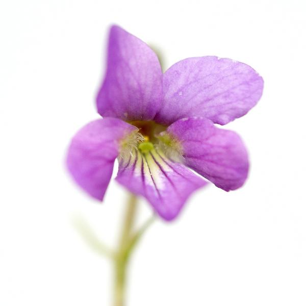 iR쑐jX~i俁jEXAJlX~i俁j@QDT`RiP|bgjixԁj