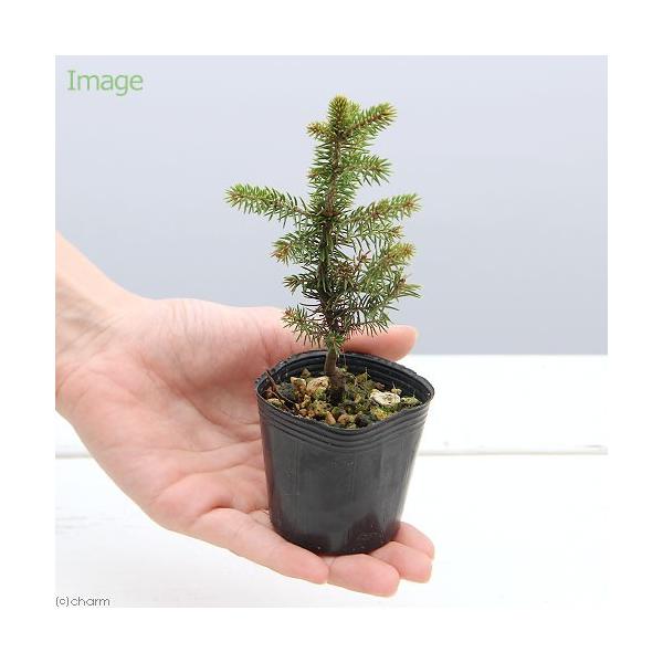 iR쑐j~́@}cijAJG]}ciԉڈΏjQDT`RiP|bgjixԁj