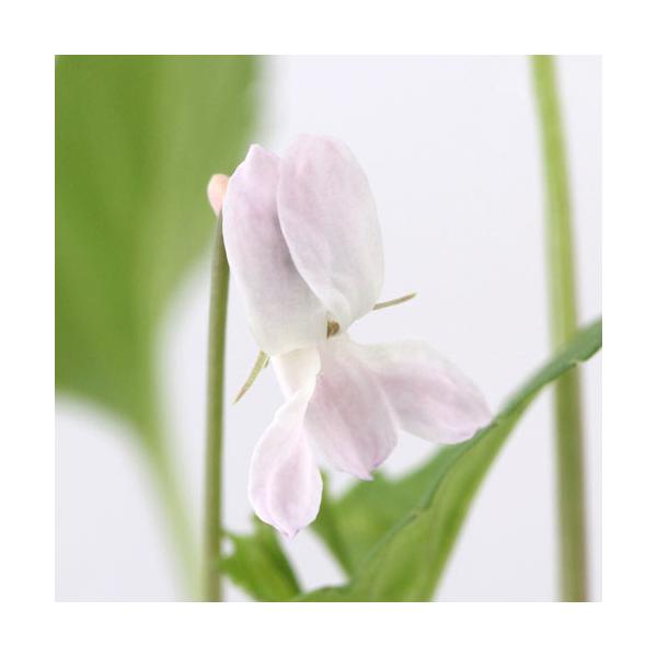 iR쑐jX~i俁jqX~@^dqicߕPjQDT`RiP|bgjixԁj