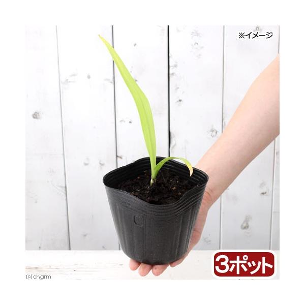 iR쑐jn}Ein}IgjilؖȁjR`RDTi@R|bgZbgjixԁj