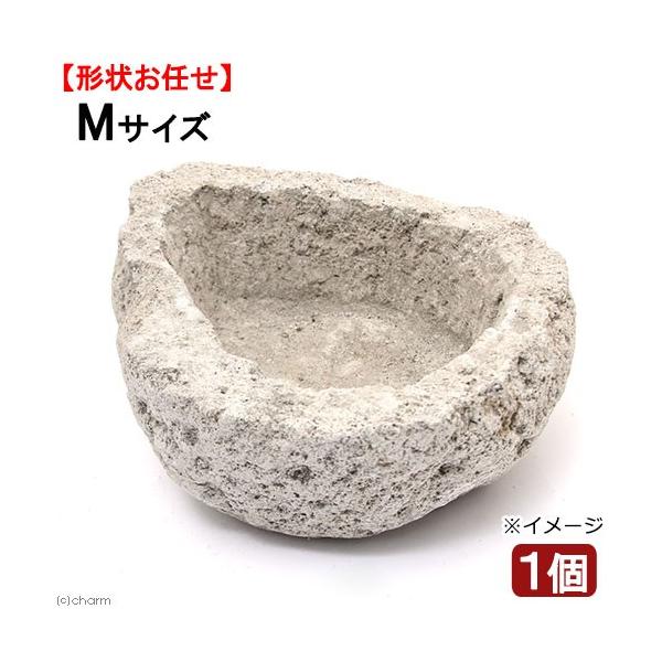 `󂨔C@tBsnΔ@lTCYiPj