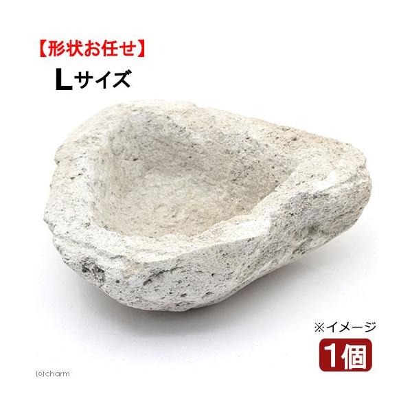 `󂨔C@tBsnΔ@kTCYiPj