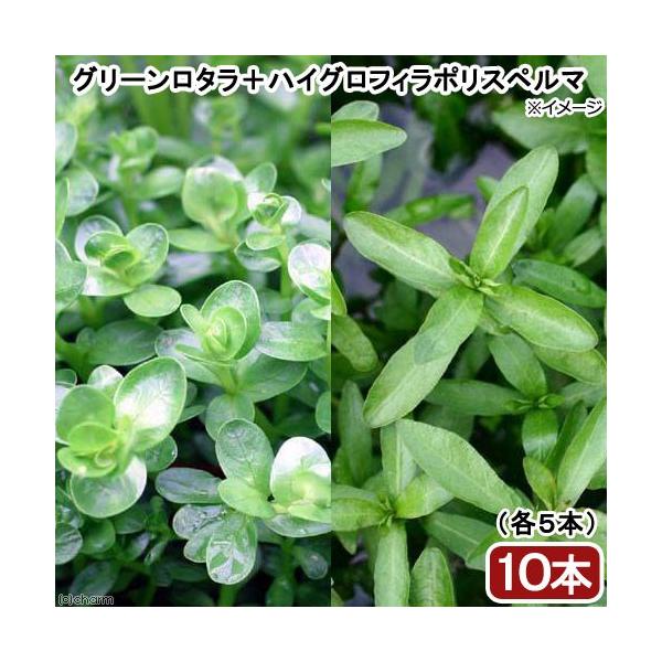 ijrMi[@QZbgiO[^{nCOtB|Xy}jitjieT{j