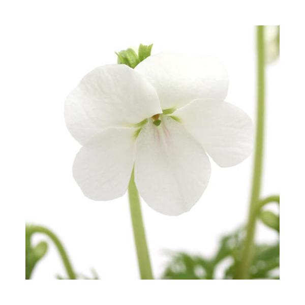 iR쑐jX~i俁jAIWNqSX~i俁jQDT`RiP|bgjixԁj