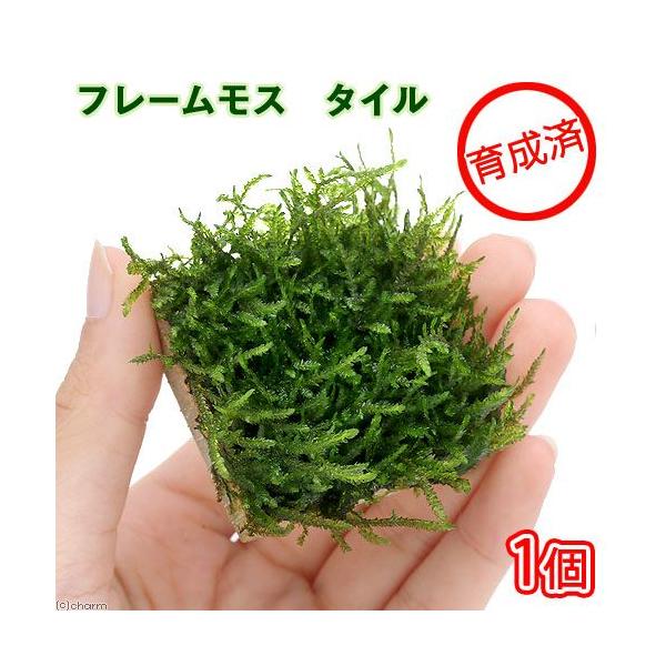 ij琬ρ@t[X@^Ci_jiPj