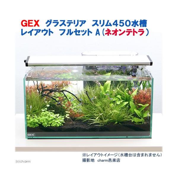 （熱帯魚）（水草）ＧＥＸ グラステリア スリム４５０ レイアウト 
