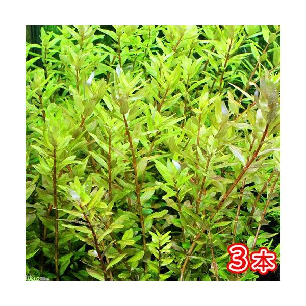 ij^@}Nh@i[[t@hgiMhitji_jiR{j