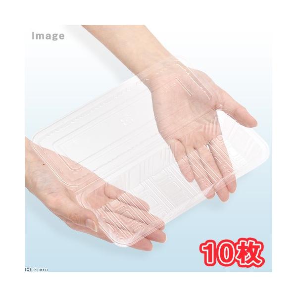 t[hpbN@iiPOj@Hie@ٓe@Hig[@yؗe@