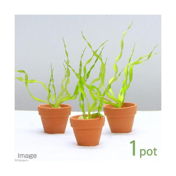 ijv`fĂ@GLmhX@xXrEXitji_jiPj